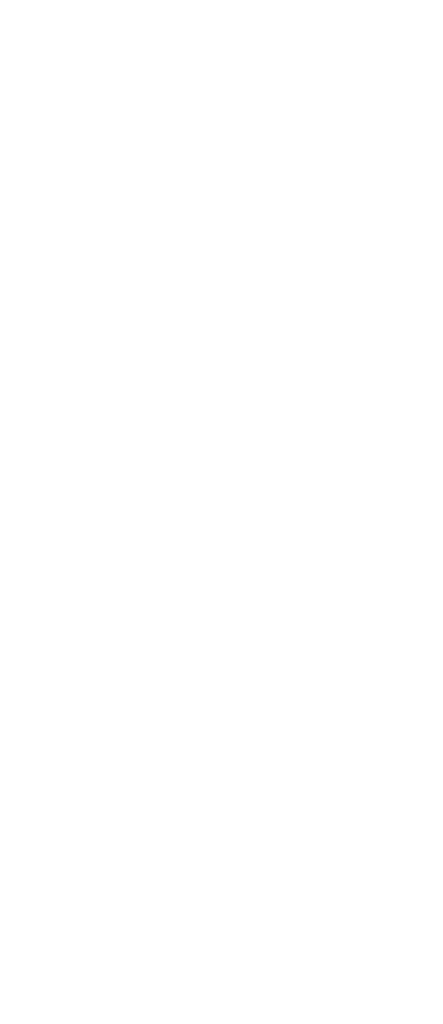 Ladder Safety System